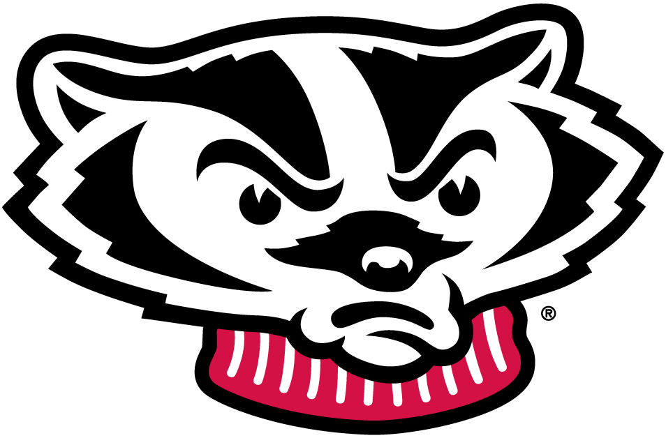 Wisconsin Badgers 2002-Pres Mascot Logo iron on transfers for clothing...